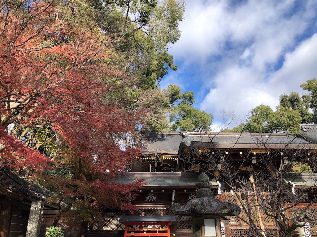 f:id:vidro-man:20211206094831j:image