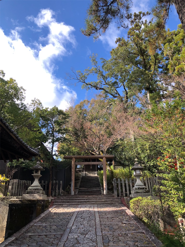 f:id:vidro-man:20211206094912j:image