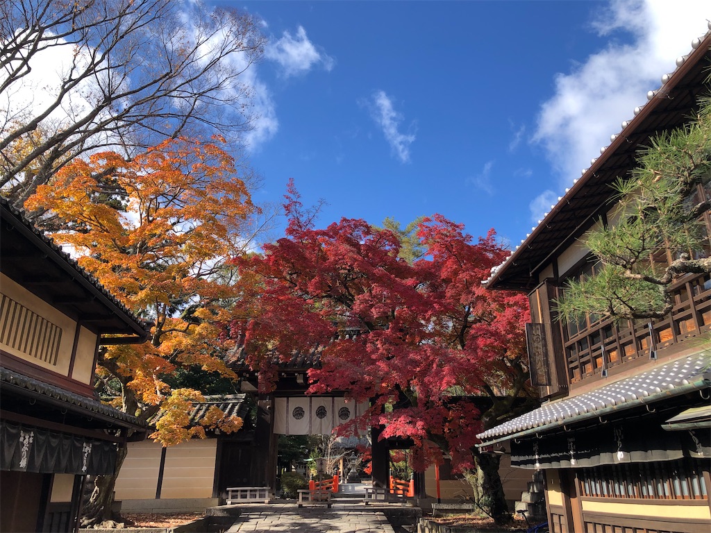 f:id:vidro-man:20211206094943j:image