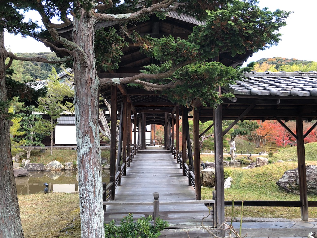 f:id:vidro-man:20211206095133j:image