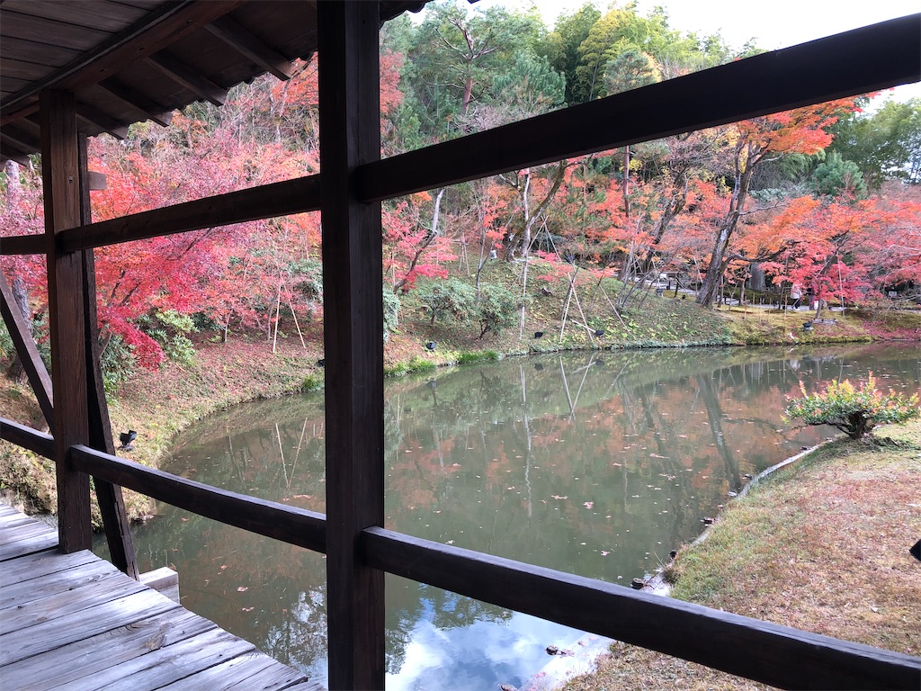 f:id:vidro-man:20211206095251j:image