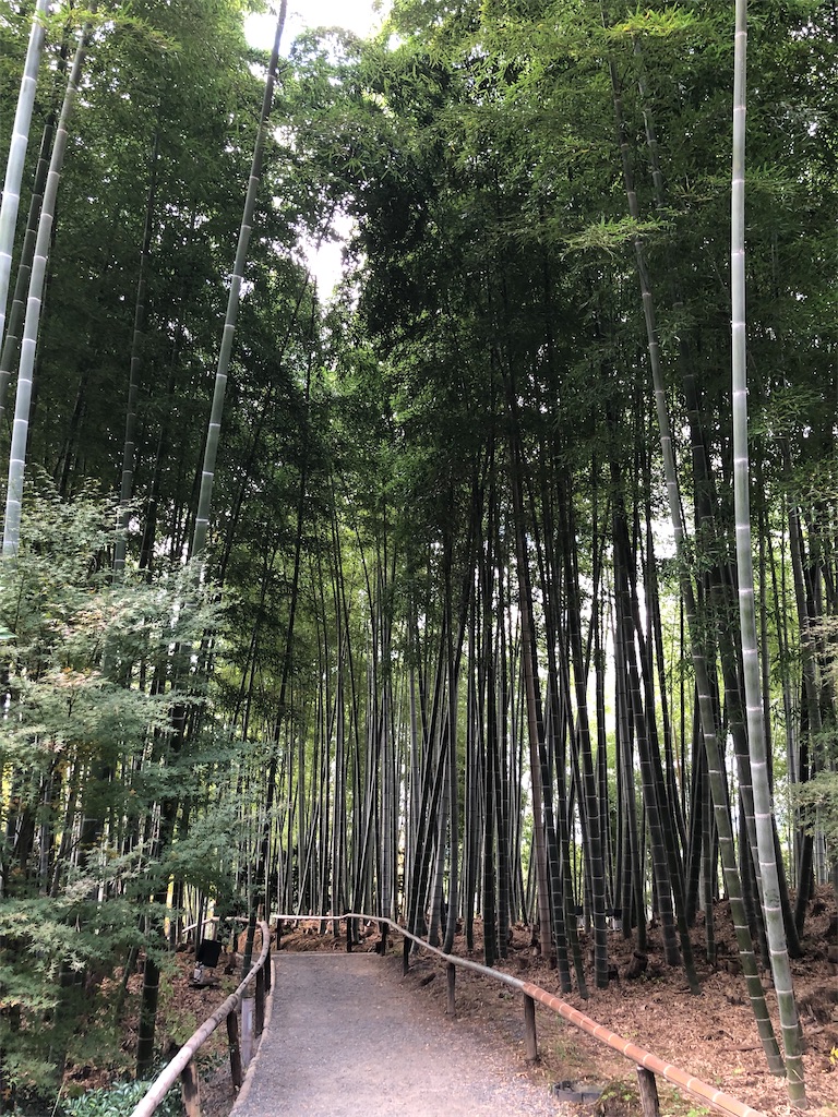 f:id:vidro-man:20211206095315j:image