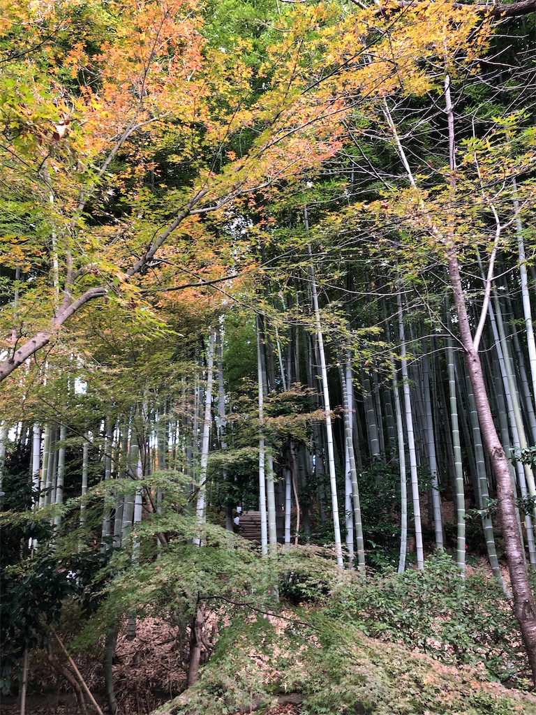 f:id:vidro-man:20211206095335j:image