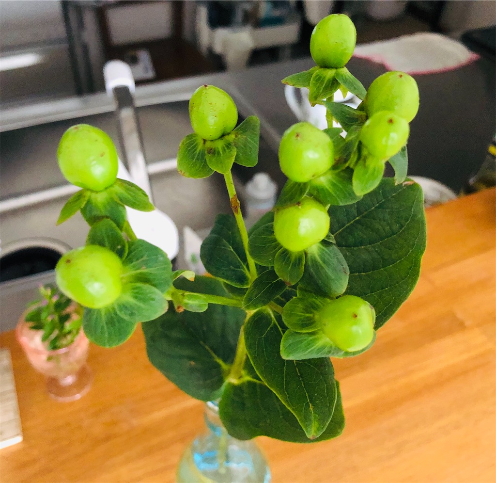 f:id:vidro-man:20211219094450j:image