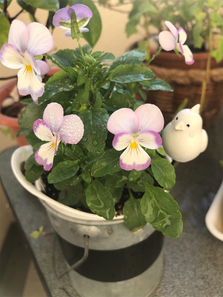 f:id:vidro-man:20211219094452j:image