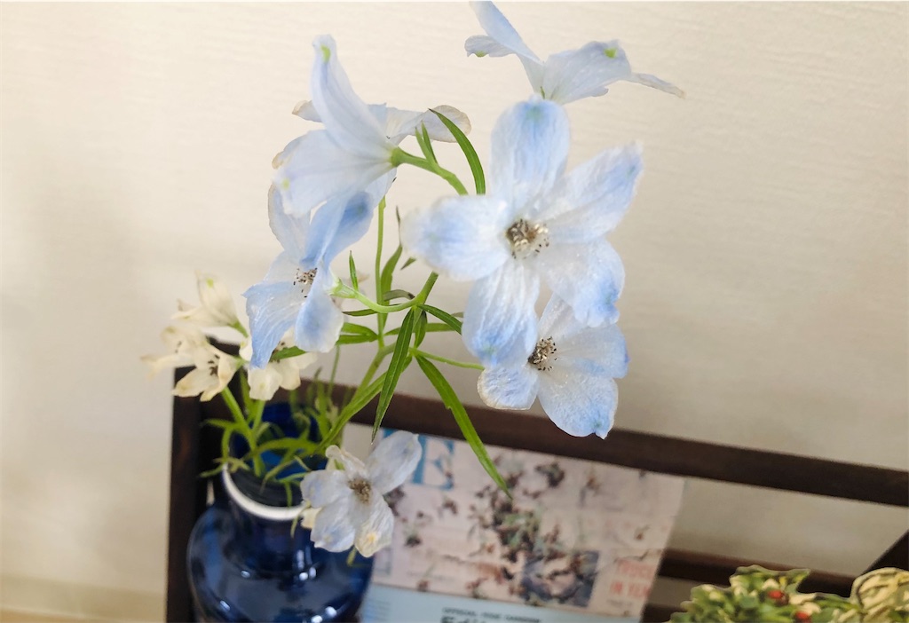 f:id:vidro-man:20211219094542j:plain