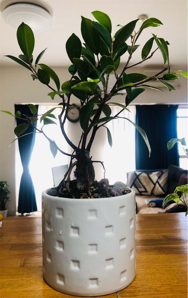 f:id:vidro-man:20211219094544j:image