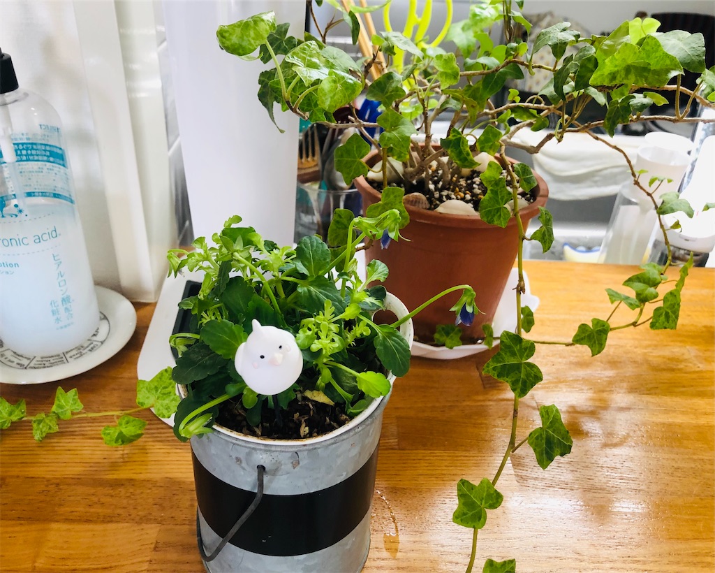 f:id:vidro-man:20211219094552j:image