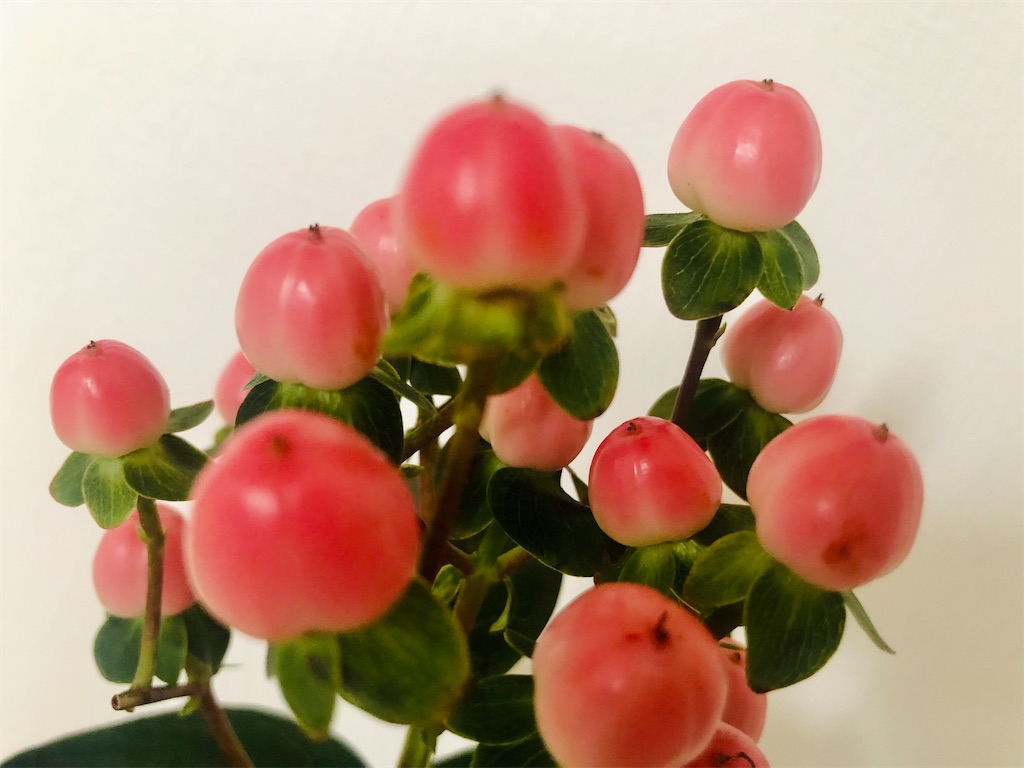 f:id:vidro-man:20220129124902j:image f:id:vidro-man:20220129124902j:image