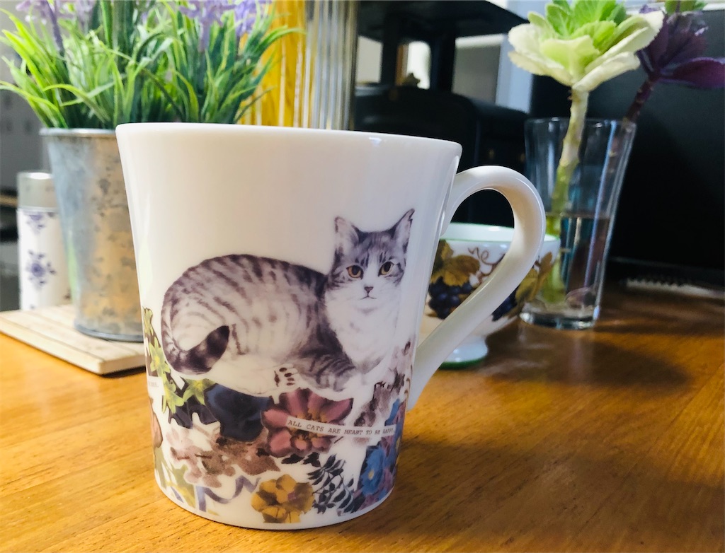 f:id:vidro-man:20220211195818j:image