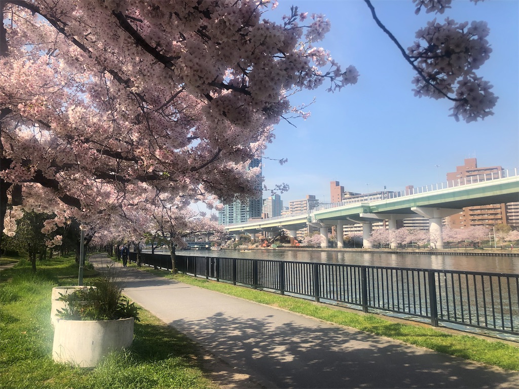 f:id:vidro-man:20220406120528j:image