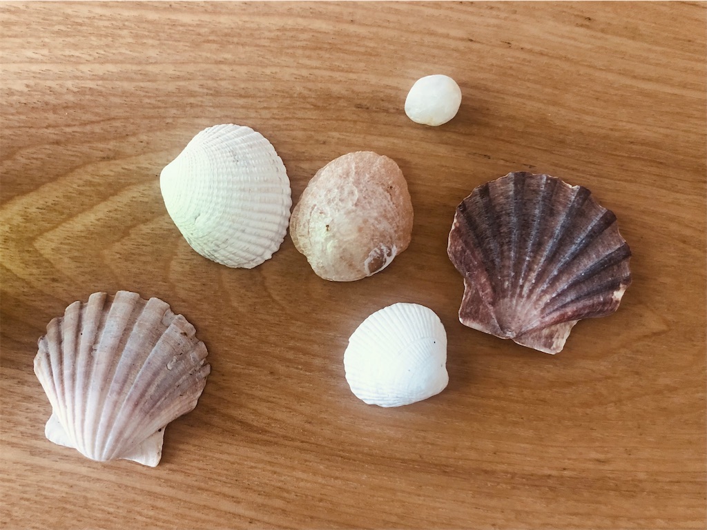 f:id:vidro-man:20220510073954j:image