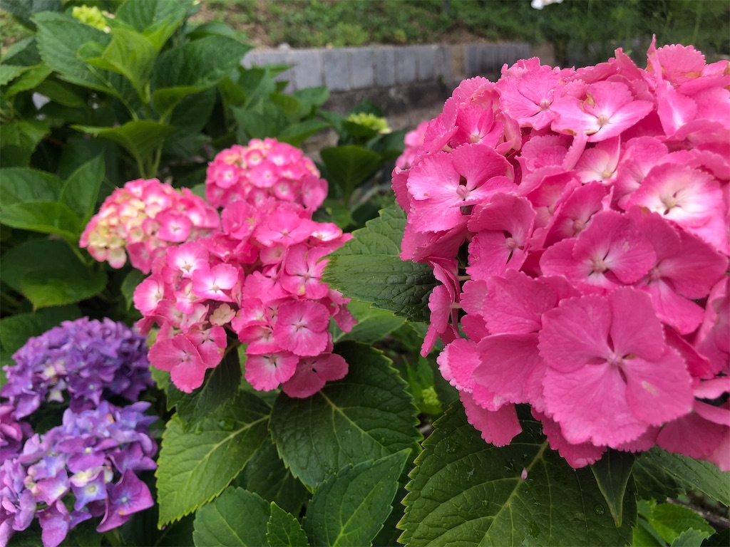 f:id:vidro-man:20220611140643j:image