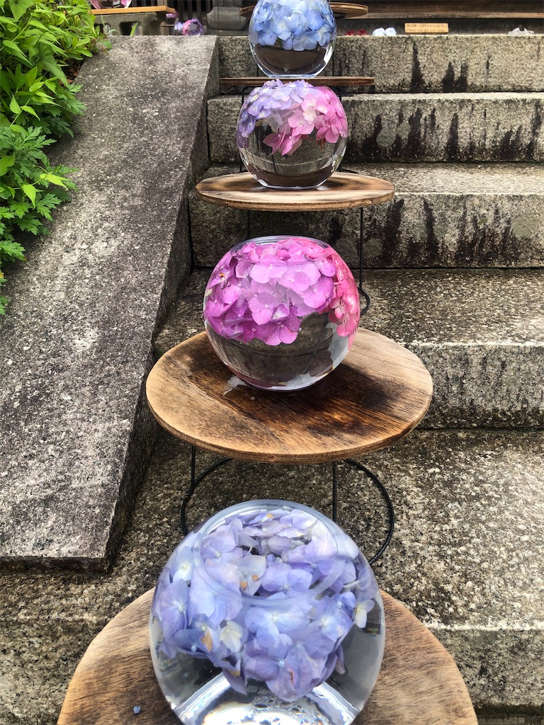 f:id:vidro-man:20220611140922j:image