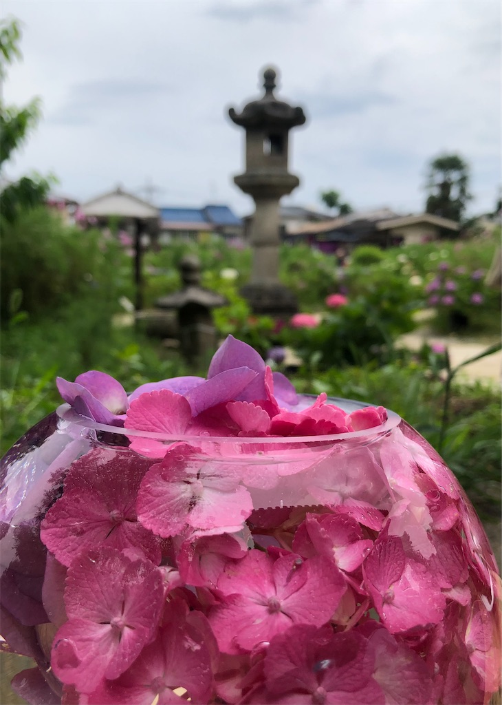 f:id:vidro-man:20220611140924j:image