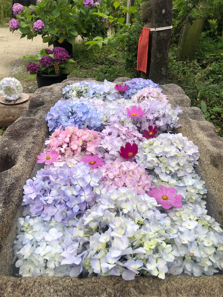 f:id:vidro-man:20220611163055j:image