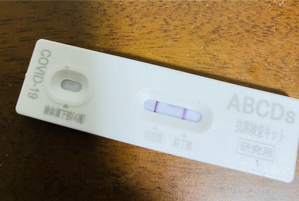 f:id:vidro-man:20220805074107j:image