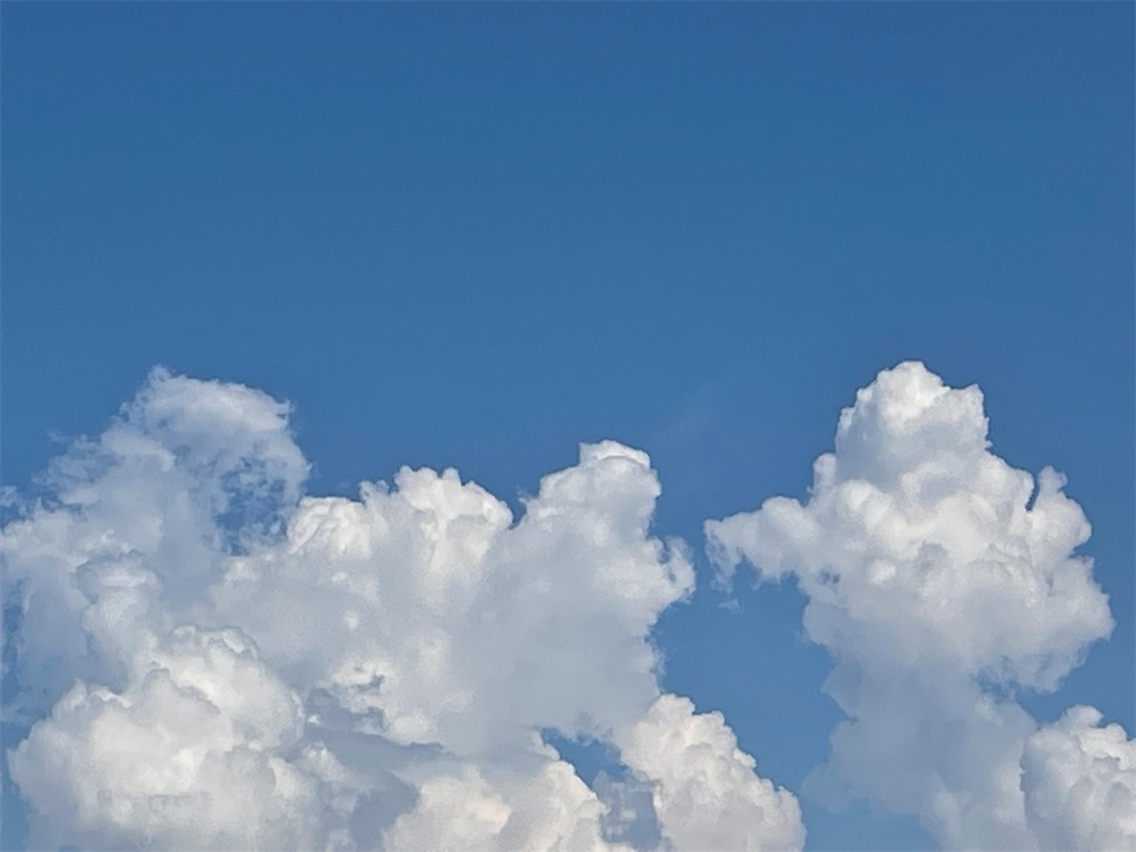 f:id:vidro-man:20220821123039j:image