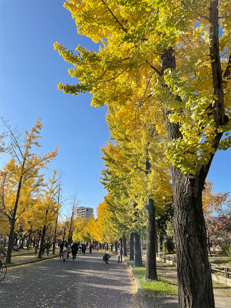 f:id:vidro-man:20221215120553j:image