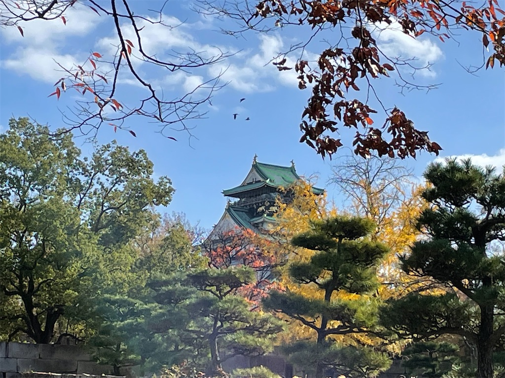 f:id:vidro-man:20221218102951j:image