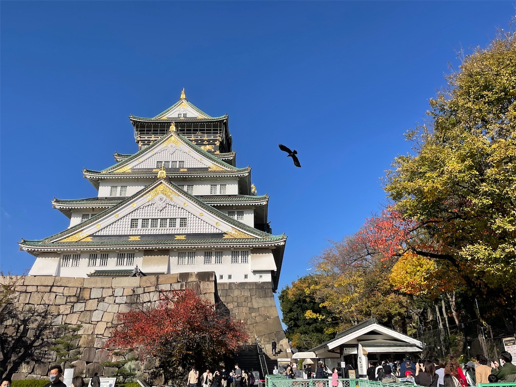 f:id:vidro-man:20221218124338j:image