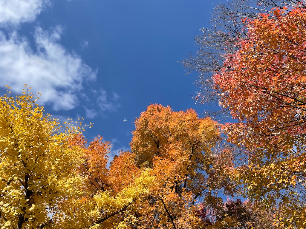 f:id:vidro-man:20221218150739j:image