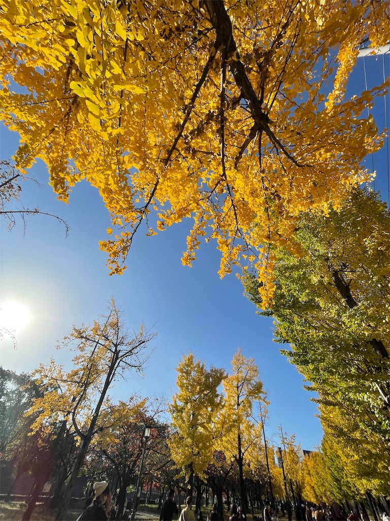 f:id:vidro-man:20221218150855j:image