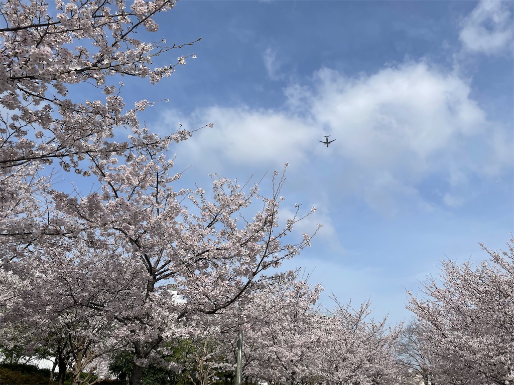 f:id:vidro-man:20230328084707j:image f:id:vidro-man:20230328084707j:image