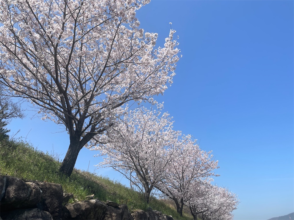 f:id:vidro-man:20230402124534j:image f:id:vidro-man:20230402124534j:image