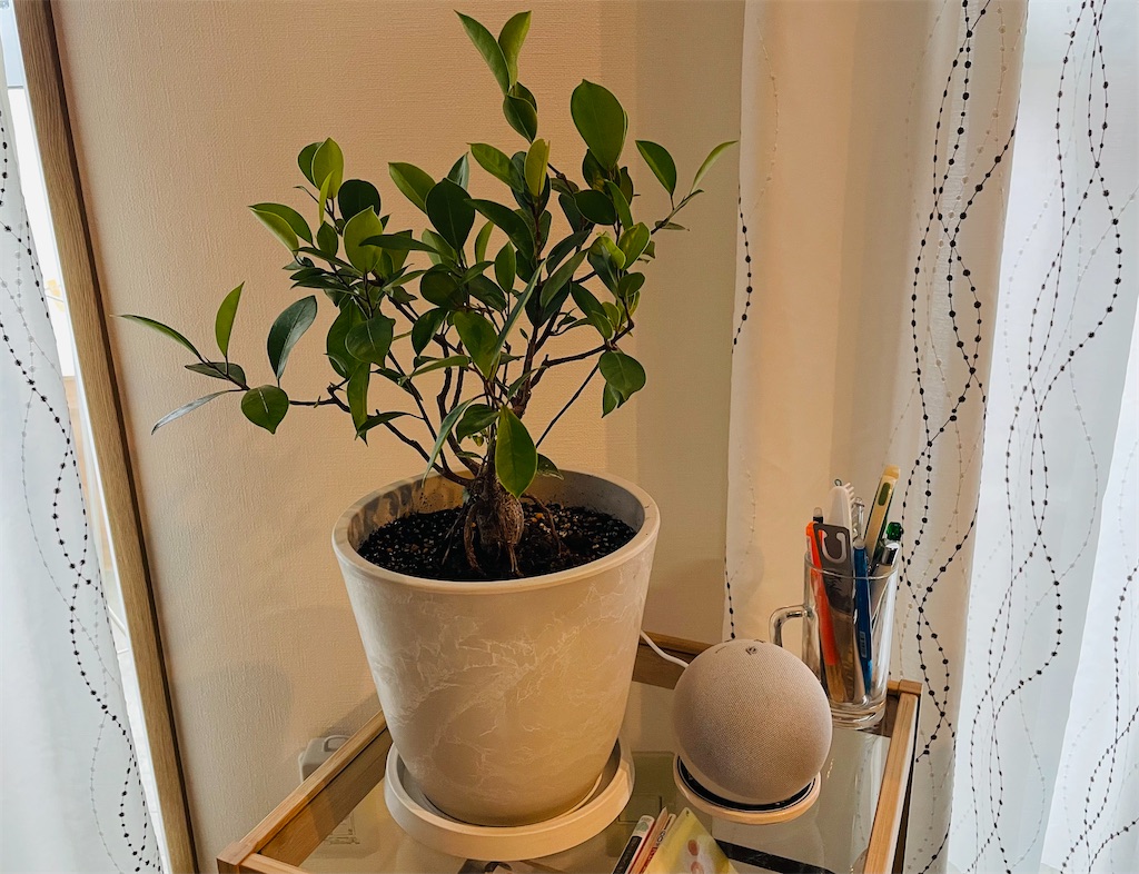 f:id:vidro-man:20230507095917j:image