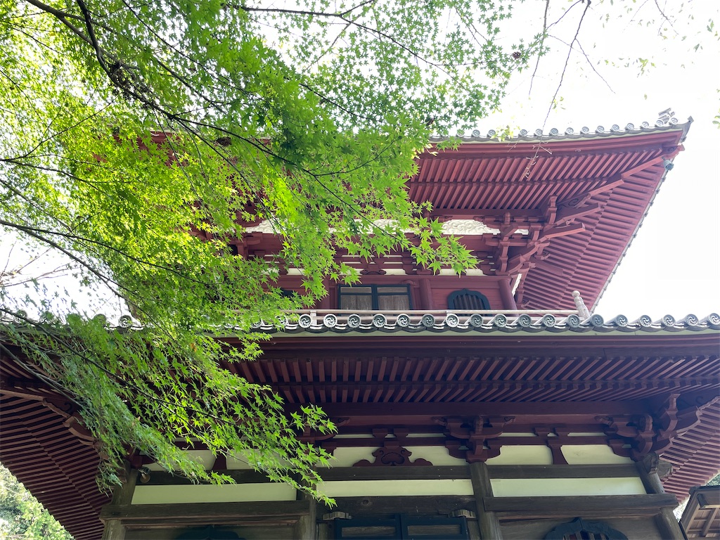 f:id:vidro-man:20230921075547j:image