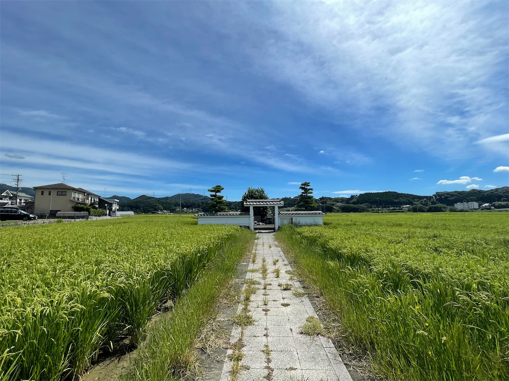 f:id:vidro-man:20230921075609j:image