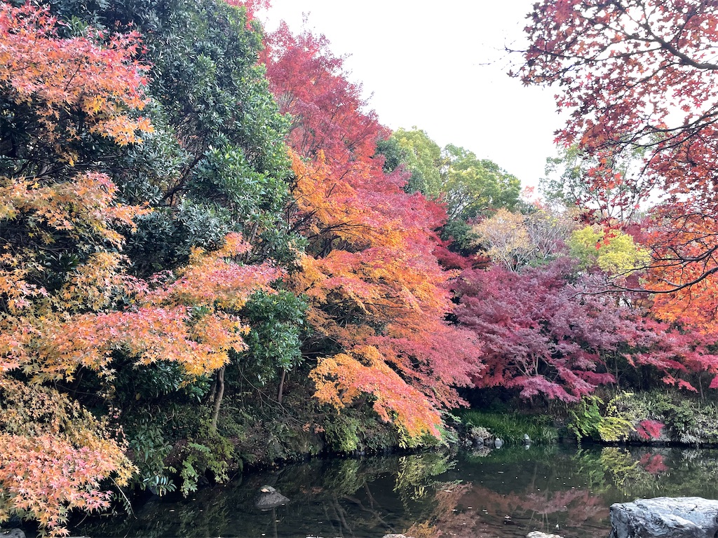 f:id:vidro-man:20231203105002j:image