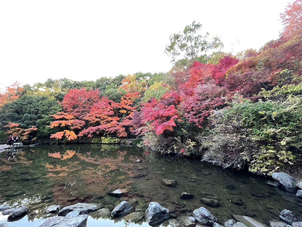 f:id:vidro-man:20231203105005j:image