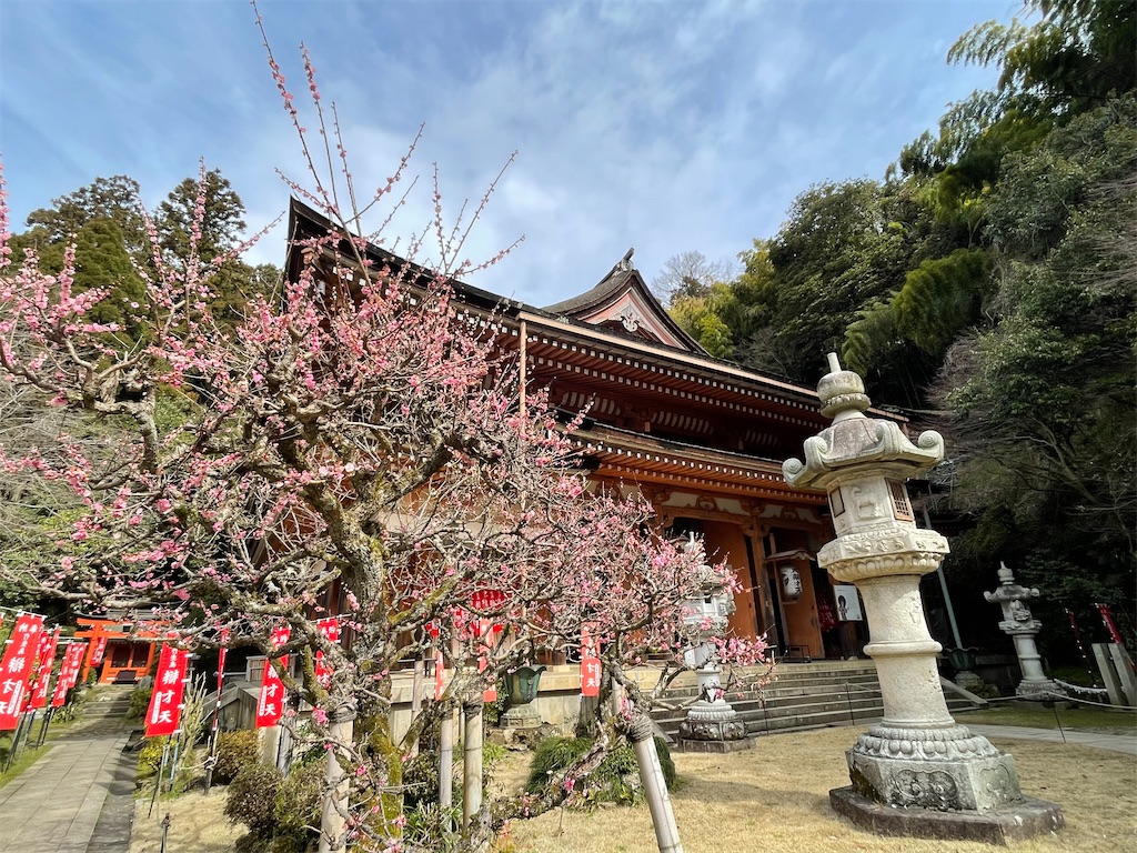 f:id:vidro-man:20240328120018j:image f:id:vidro-man:20240328120018j:image