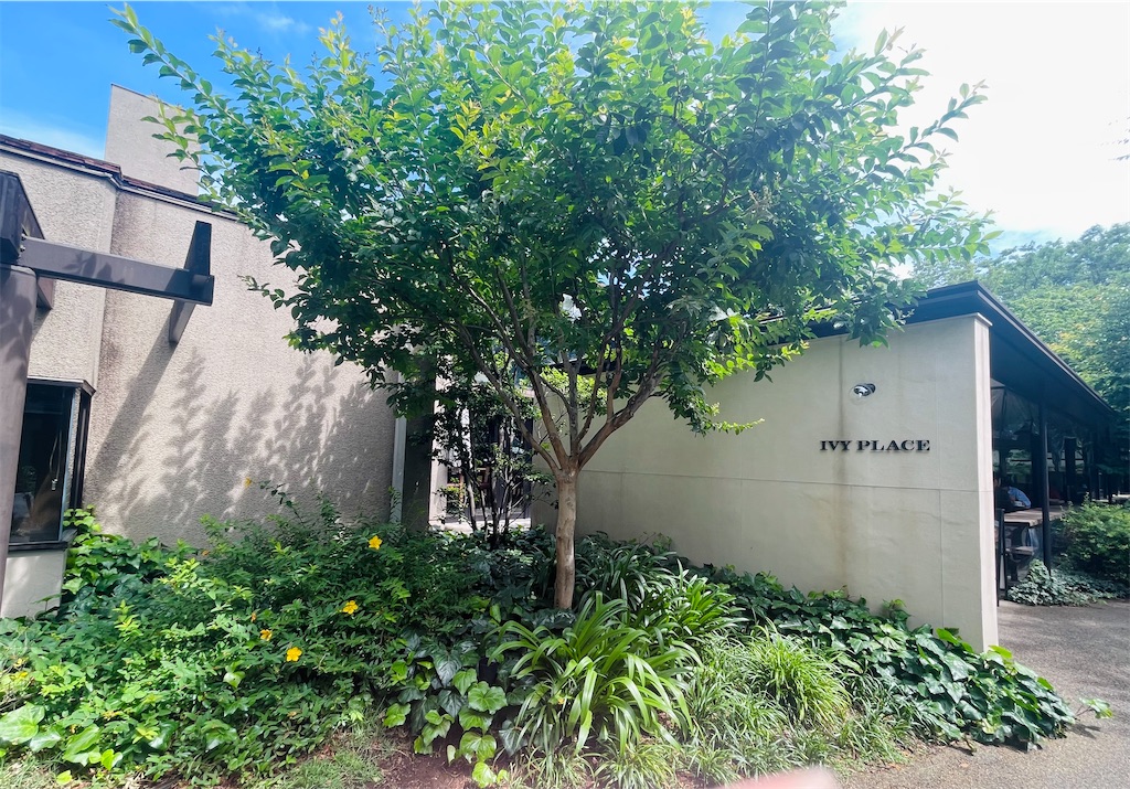 f:id:vidro-man:20240610124927j:image