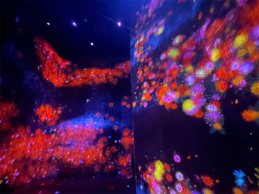 f:id:vidro-man:20240610164951j:image