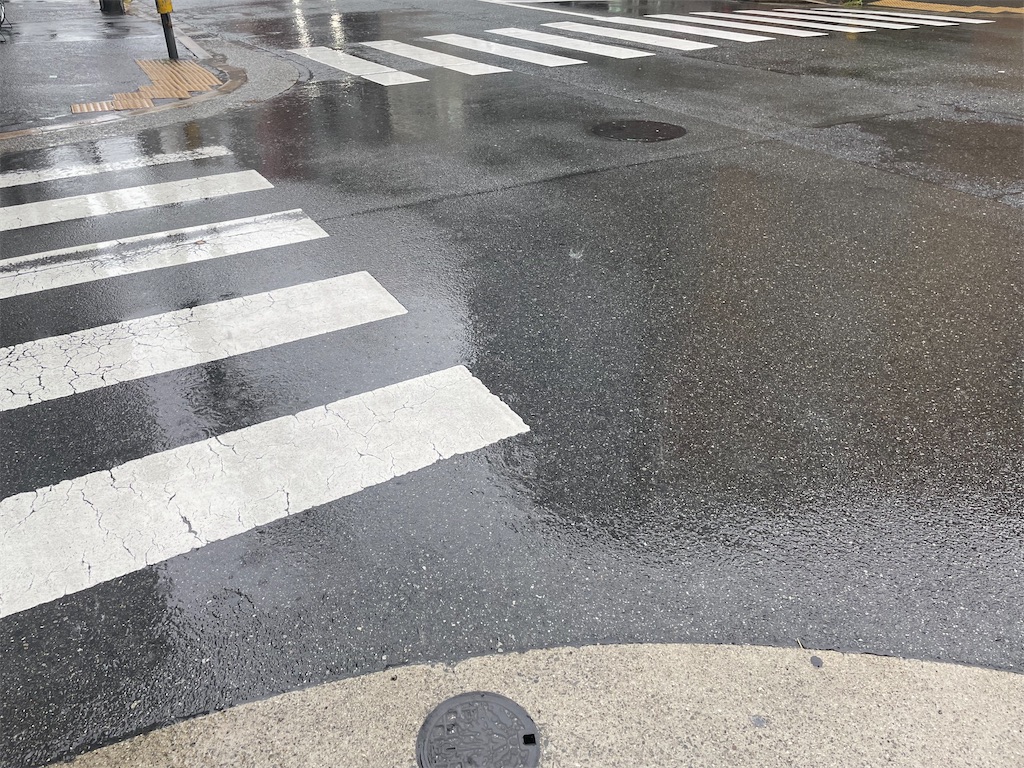 f:id:vidro-man:20240618105411j:image