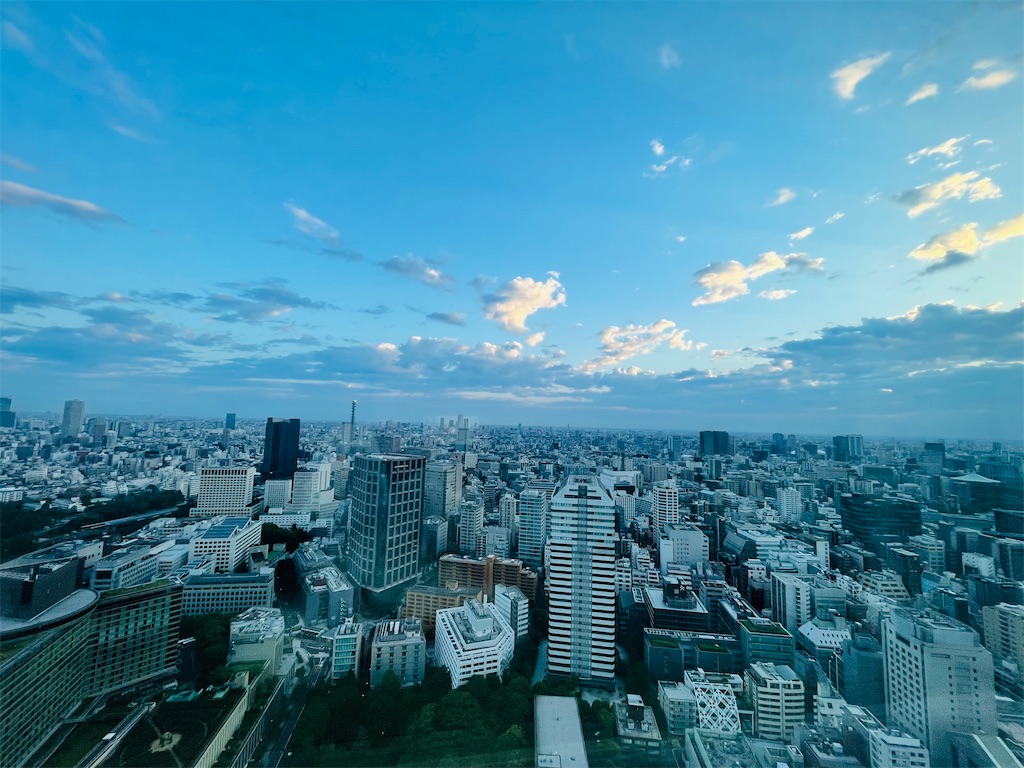 f:id:vidro-man:20240712120648j:image