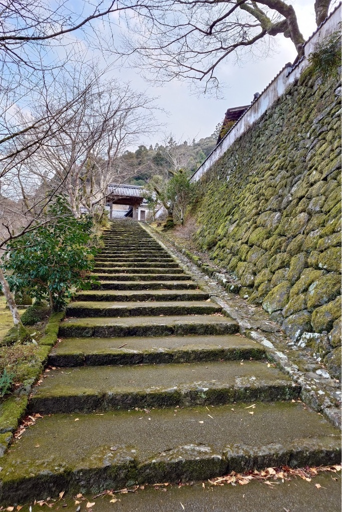 f:id:vidro-man:20250303080453j:image