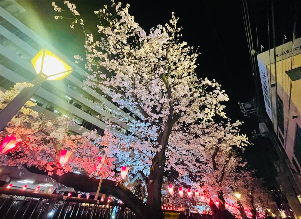 f:id:vidro-man:20250329110811j:image