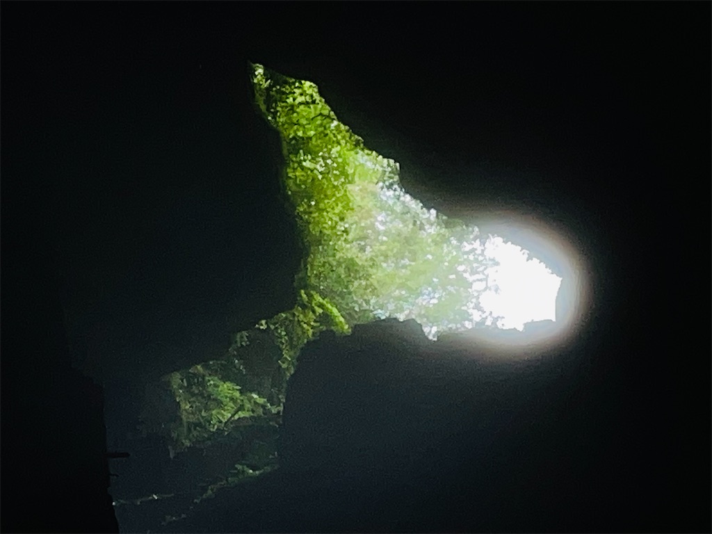 f:id:vidro-man:20250812083321j:image