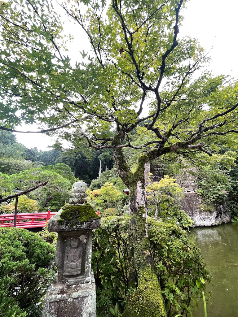 f:id:vidro-man:20250812085503j:image