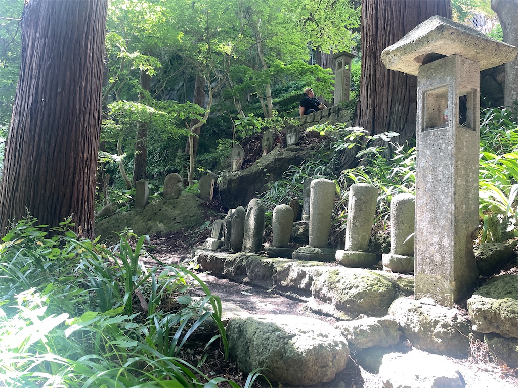 f:id:vidro-man:20250815100455j:image