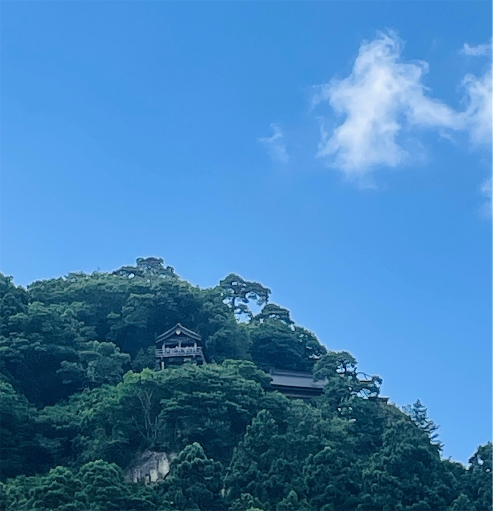 f:id:vidro-man:20250815122951j:image