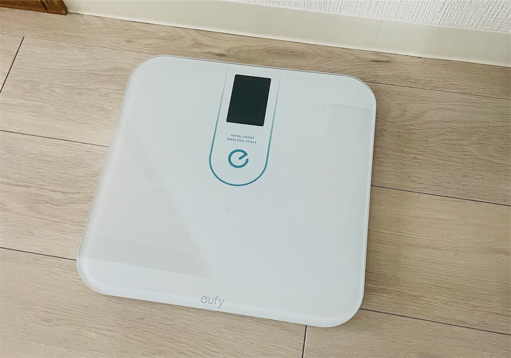 f:id:vidro-man:20250825081108j:image