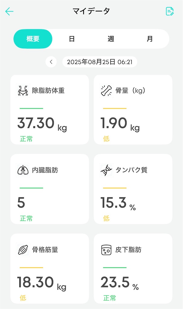 f:id:vidro-man:20250825081119j:image