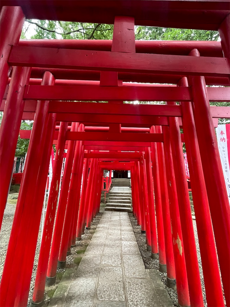 f:id:vidro-man:20250929084248j:image