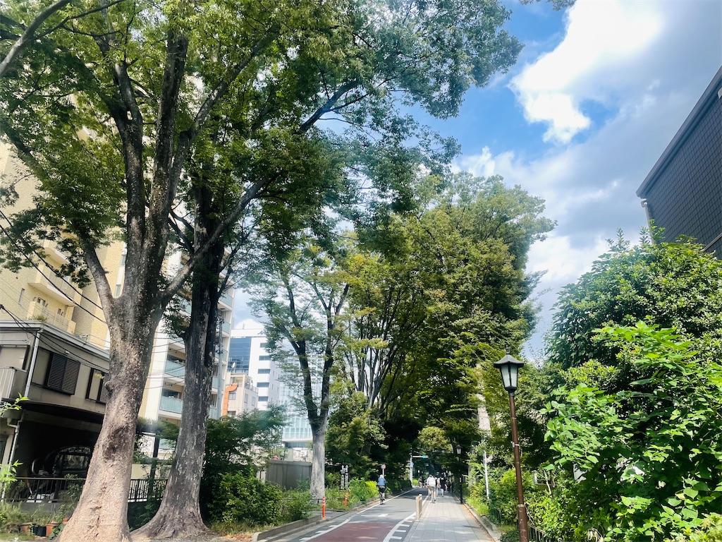 f:id:vidro-man:20250929085213j:image