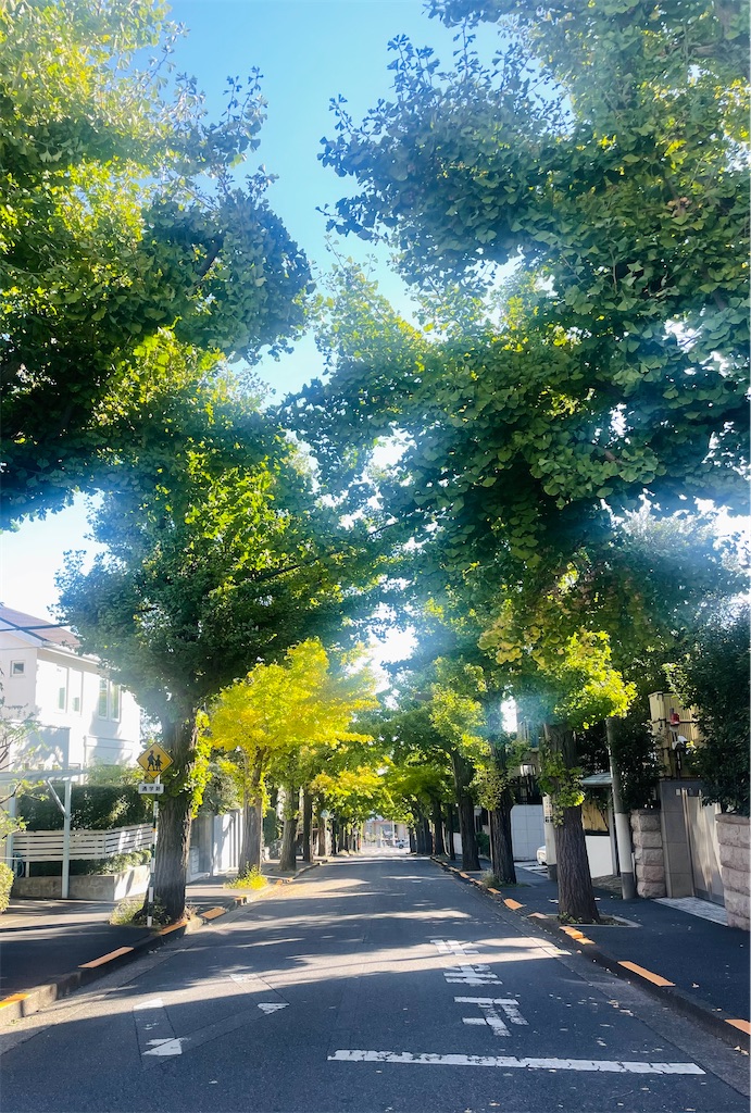 f:id:vidro-man:20251107075858j:image